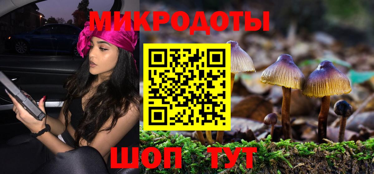 Железноводск  Псилоцибиновые грибы мицелий  наркошоп  Вход с VPN 