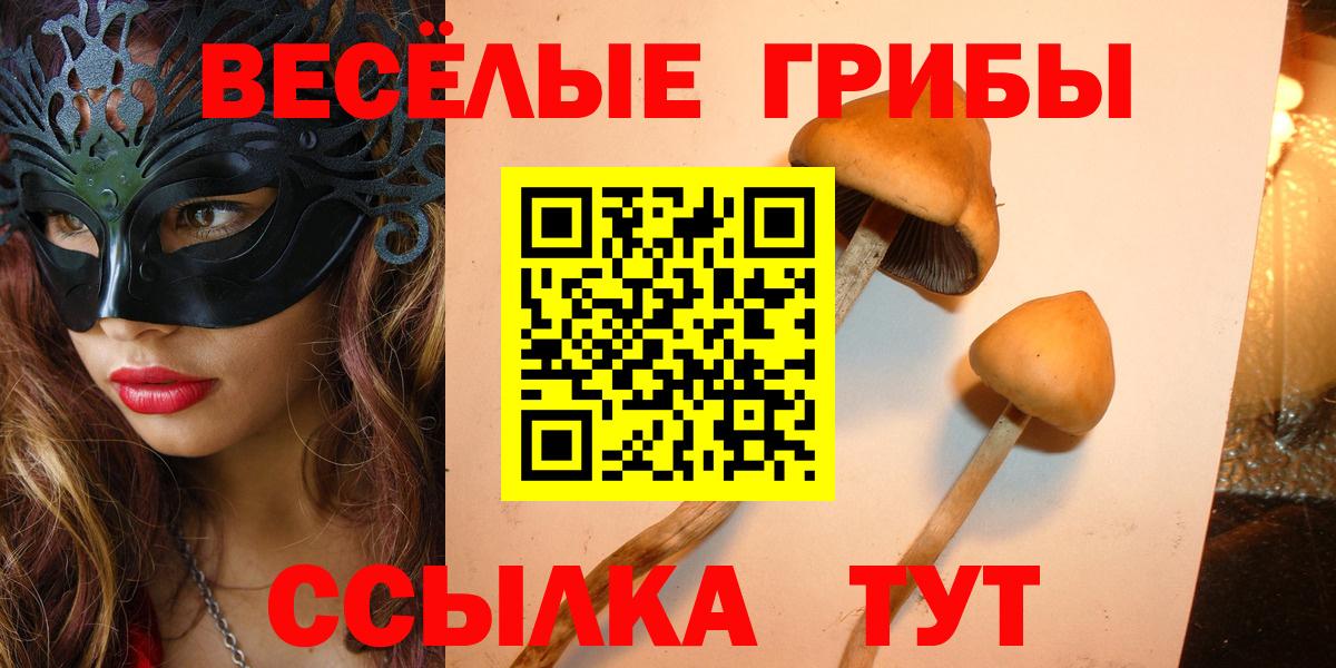 Псилоцибиновые грибы Psilocybine cubensis Железноводск