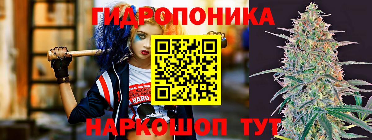 Бошки марихуана семена  Каннабис марихуана  Железноводск  Вход с VPN 